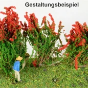3 blühende Sträucher verschiedene Farben