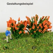 2 blühende Sträucher verschiedene Farben