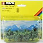 Sträucher grün