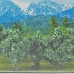Sträucher grün