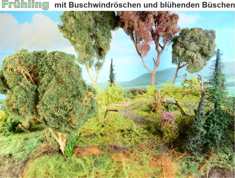 Waldbodenmatte Frühling