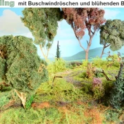 Waldbodenmatte Frühling