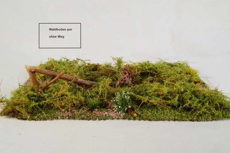 Waldbodenmatte Frühling