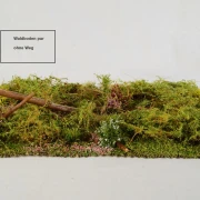 Waldbodenmatte Frühling