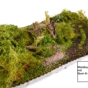 Waldbodenmatte Frühling