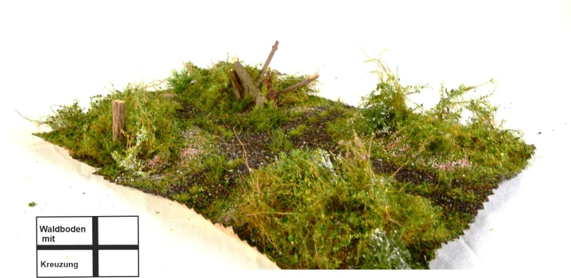 Waldbodenmatte Frühling