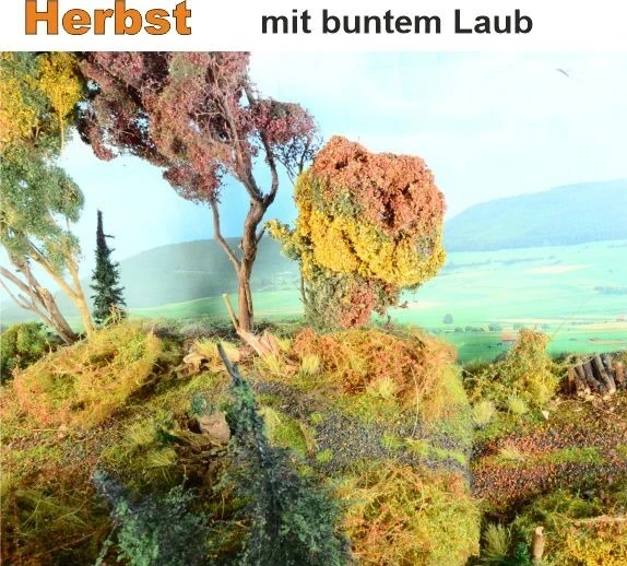 Waldbodenmatte Herbst