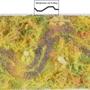 Waldbodenmatte Herbst