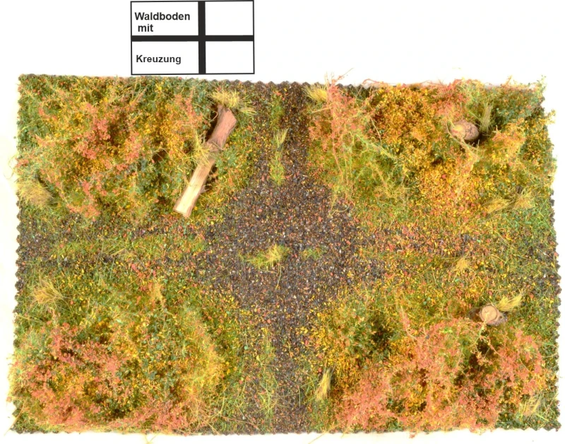 Waldbodenmatte Herbst