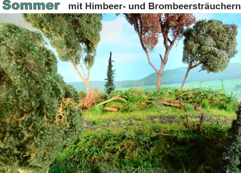 Waldbodenmatte Sommer
