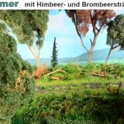 Waldbodenmatte Sommer
