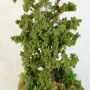 Feldinsel - Ricke und Kitz