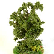 Feldinsel - Ricke und Kitz