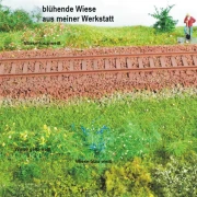 blühende Wiese